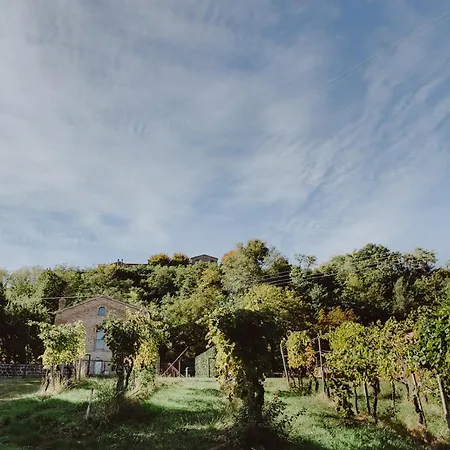 Nocleg ze śniadaniem Pratelli6 4*