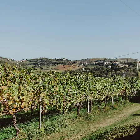 Pratelli6 Bed & Breakfast Rosora